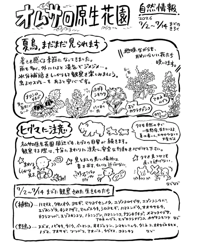 オムサロ原生花園の自然情報が更新されました。
暑い日が続き、湿度も高くジメジメです💦

夏の野鳥は少しひっそりしてきましたが、まだまだ観察できます。幼鳥の姿が増えつつあります。
お花は日々様々な種類が開花し、小さいながらもかわいらしく、草原を彩っています。

近頃は周辺でヒグマの目撃も多いです。
距離を保ちながら、クマとヒトが同じ場所で生きていけたら、一番良いですね。

#オムサロ原生花園
#オムサロネイチャービューハウス 
#開花情報